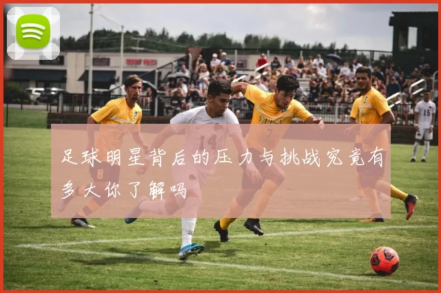 足球明星背后的压力与挑战究竟有多大你了解吗